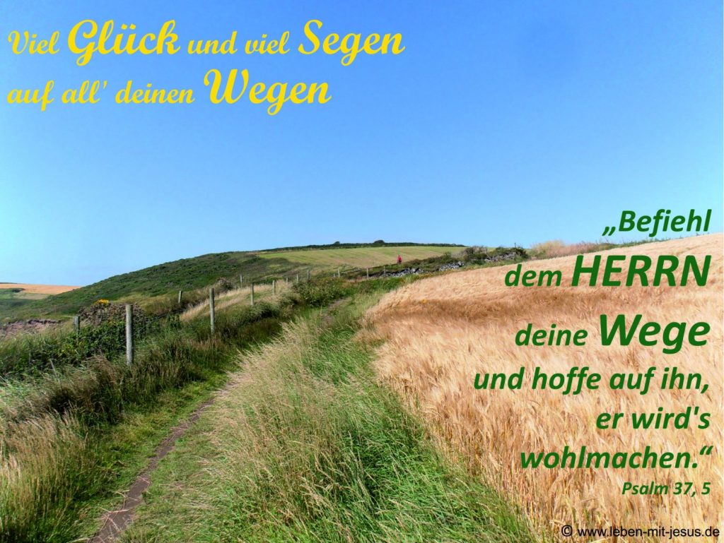 e-cards Anlässe-Weg in Kornfeldern