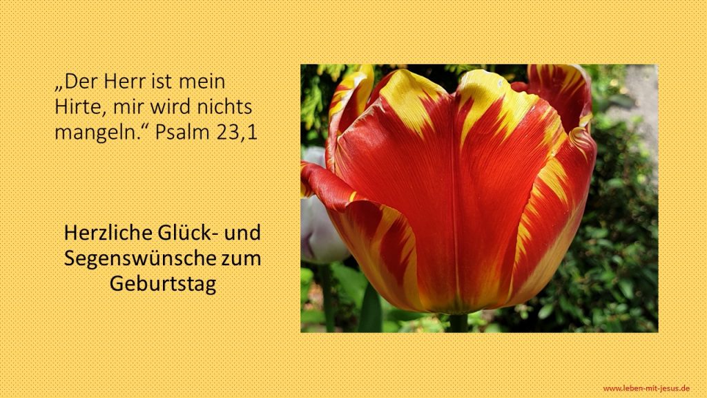 e-cards