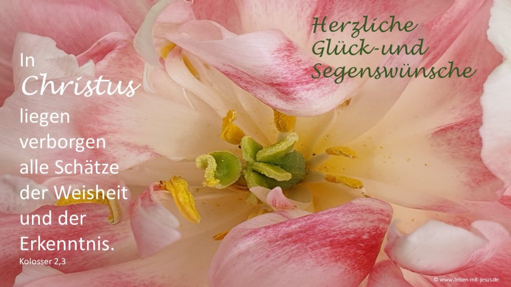e-cards Geburtstag Geburtstagsgrüße christliche e-cards e-cards mit Bibelversen e-cards mit Blumen Tulpen Glückwünsche Segenswünsche Jesus Christus Weisheit Erkenntnis