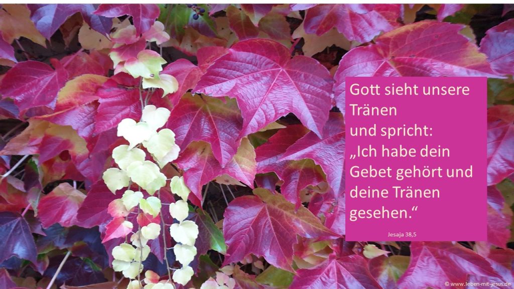 e-cards Trauer Trost Zuversicht