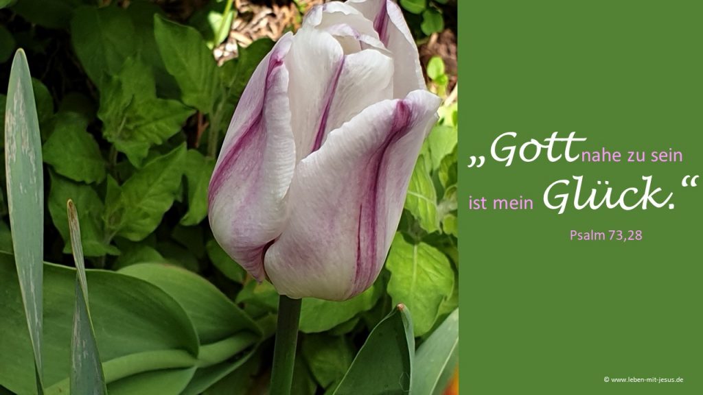 e-cards verschiedene Anlässe Grüße