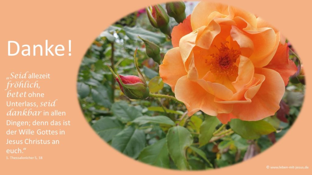 e-cards zum Dank