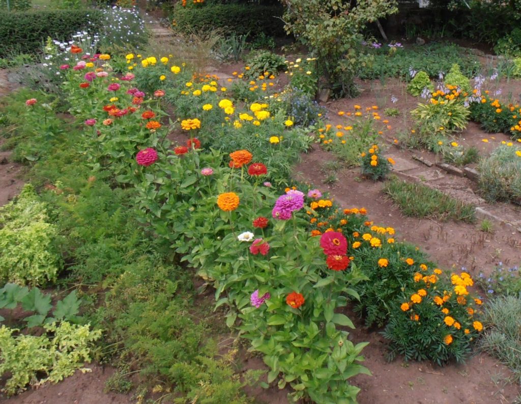 Predigt zu Matthäus 13,31+32 15. Sonntag nach Trinitatis Gleuben Wachsen Wachstum schöner Garten Bauerngarten