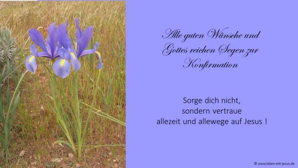 e-cards zur Konfirmation christliche e-cards e-cards mit Bibelversen moderne e-cards e-cards mit Blumen Lilie