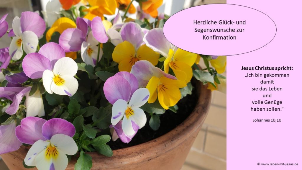 e-cards zur Konfirmation christliche e-cards e-cards mit Bibelversen e-cards mit Blumen besonders schöne e-card