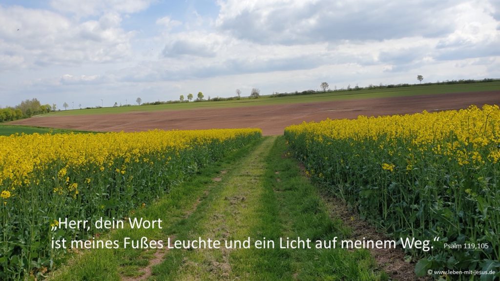 Predigt zu Johannes 14,1-6 21. Sonntag nach Trinitatis 7,37-39 Exaudi 6. Sonntag nach ostern e-cards zu verschiedenen Anlässen christliche e-cards e-cards mit Bibeltexten Bibelversen Bibelsprüchen besonders schöne e-cards mit Weg und Rapsfeld
