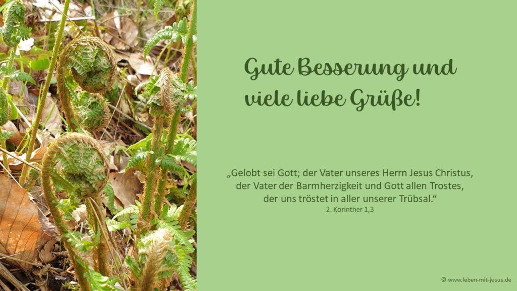 e-cards für Gute Besserung e-cards zur Genesung Erholung Krankheit Gesundheit christliche e-cards e-cards mit Bibeltexten Bibelversen biblischen Sprüchen Bibelsprüchen zur Ruhe kommen Ausruhen