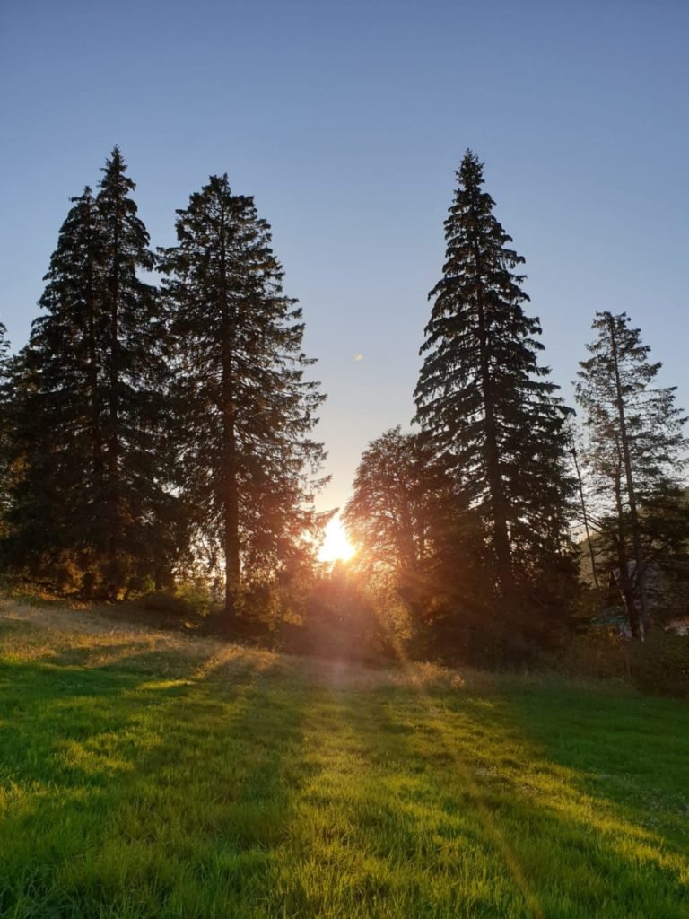 Impuls der Woche KW 38 Abendstimmung am Feldberg Südschwarzwald