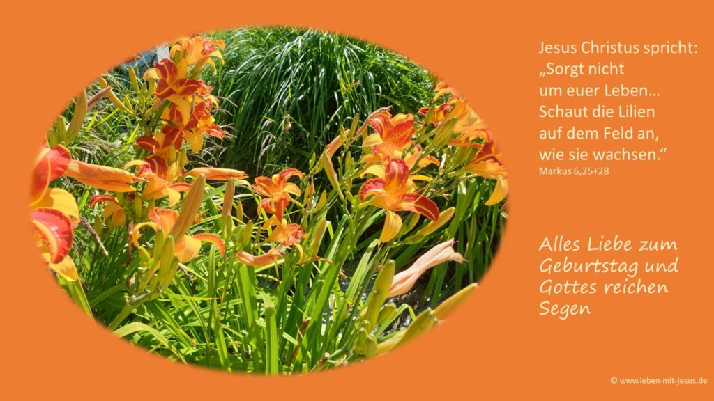 e.cards zum Geburtstag Geburtstagskarte Geburtstagsgruß e-cards mit Bibeltext Bibelvers segensvers christliche e-card besonders schöne e-card mit Lilien in Orange