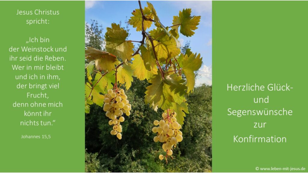 e-cards Konfirmation Sprüche Segenswünsche modern Glückwunschkarte Bibelverse schön Bibelspruch Weinstock Reben Weintrauben