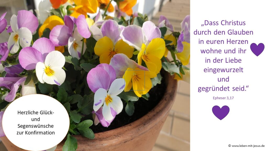 e-cards Konfirmation Sprüche Segenswünsche modern von Herzen Herz Glückwunschkarte mit Herz Bibelverse schön mit Blumen Stiefmütterchen Violen Bibelspruch