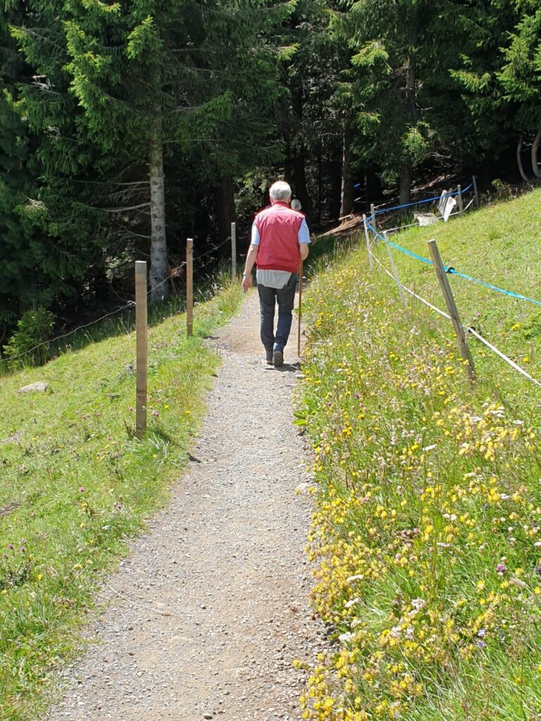 Predigt zu 1. Mose 12,1-4 mit Jesus unterwegs sein Bewegung Wandern Pilgern für Christus Wandern auf der Seiser Alm Südtirol