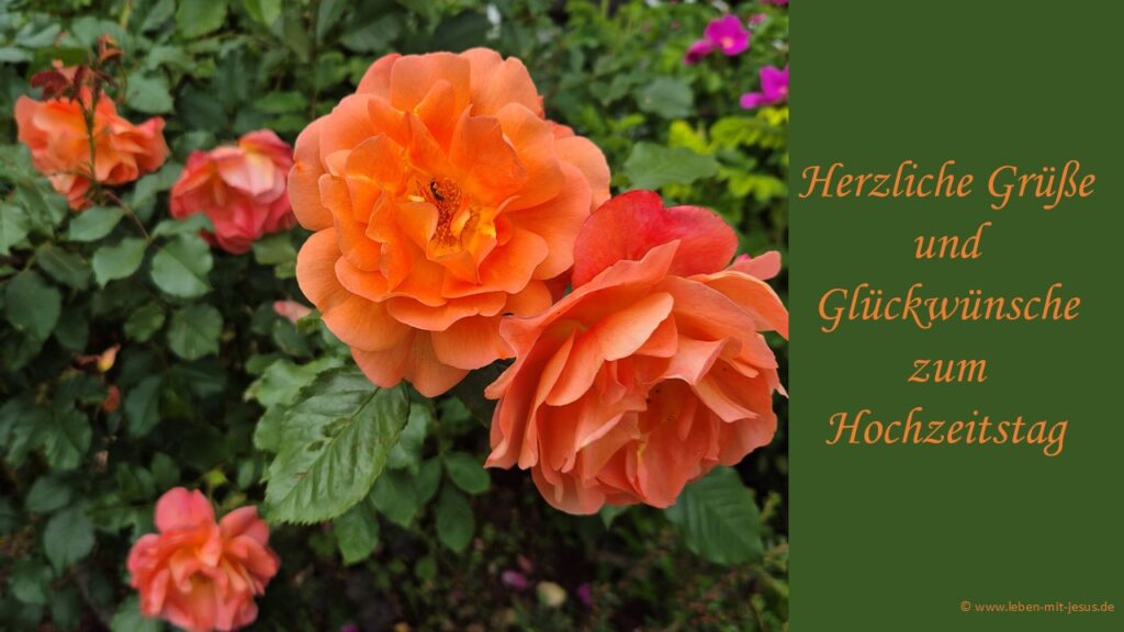 e.cards zur Hochzeit zum Hochzeitstag besonders schöne e-card mit Rosen orange blühende Glückwünsche