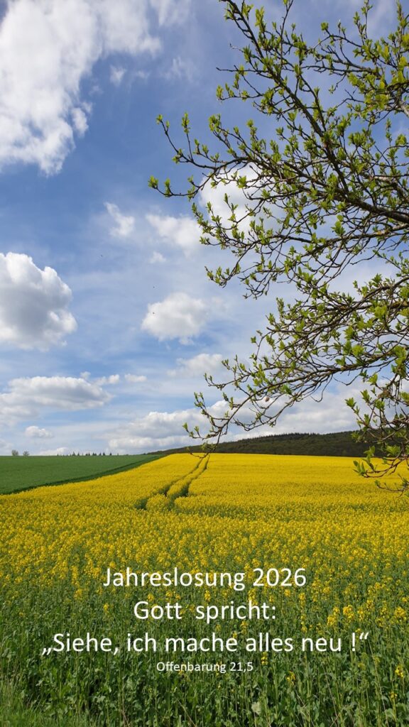 Home Jahreslosung 2026 besonders schöne Landschaft Bibelvers Bibeltext christliche e-card Hoffnung Rapsfeld im Sommer besonders schöne e-card