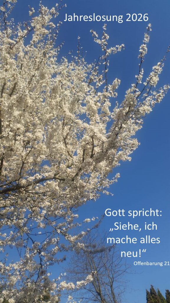e-cards zu verschiedenen Anlässen Jahreslosung 2026 christliche e-cards mit Bibelversen Bibeltexten besonders schöne e-cards mit Frühlingsbaum Mirabelle blühend