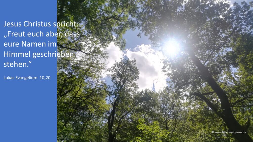 e-cards für Trauer Trost und Zuversicht christliche e-cards besonders schöne einfühlsame und besinnliche e-cards mit Sonne im Wald