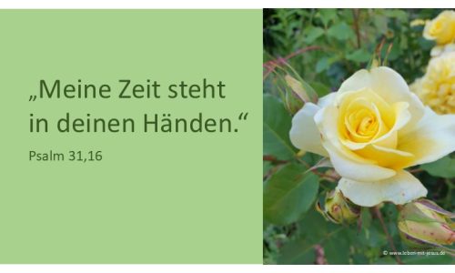 Vibelverse für Trauer Trost Zuversicht Trauervers Trauerspruch tröstend liebevoll würdevoll schön besonders Trostspender kurz Beileid Kondolenz